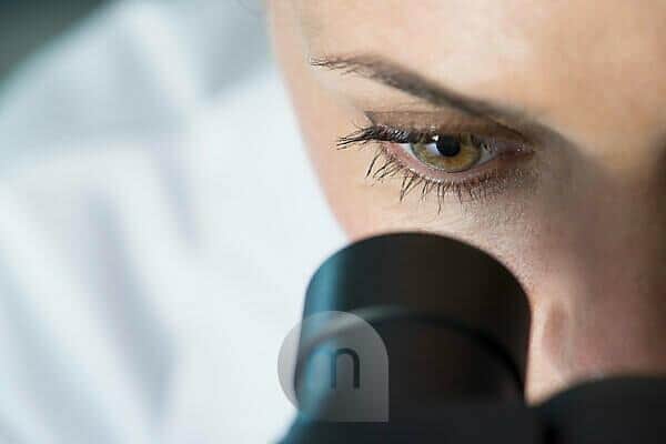 mauritius images 05285066 scientist using microscope, close up